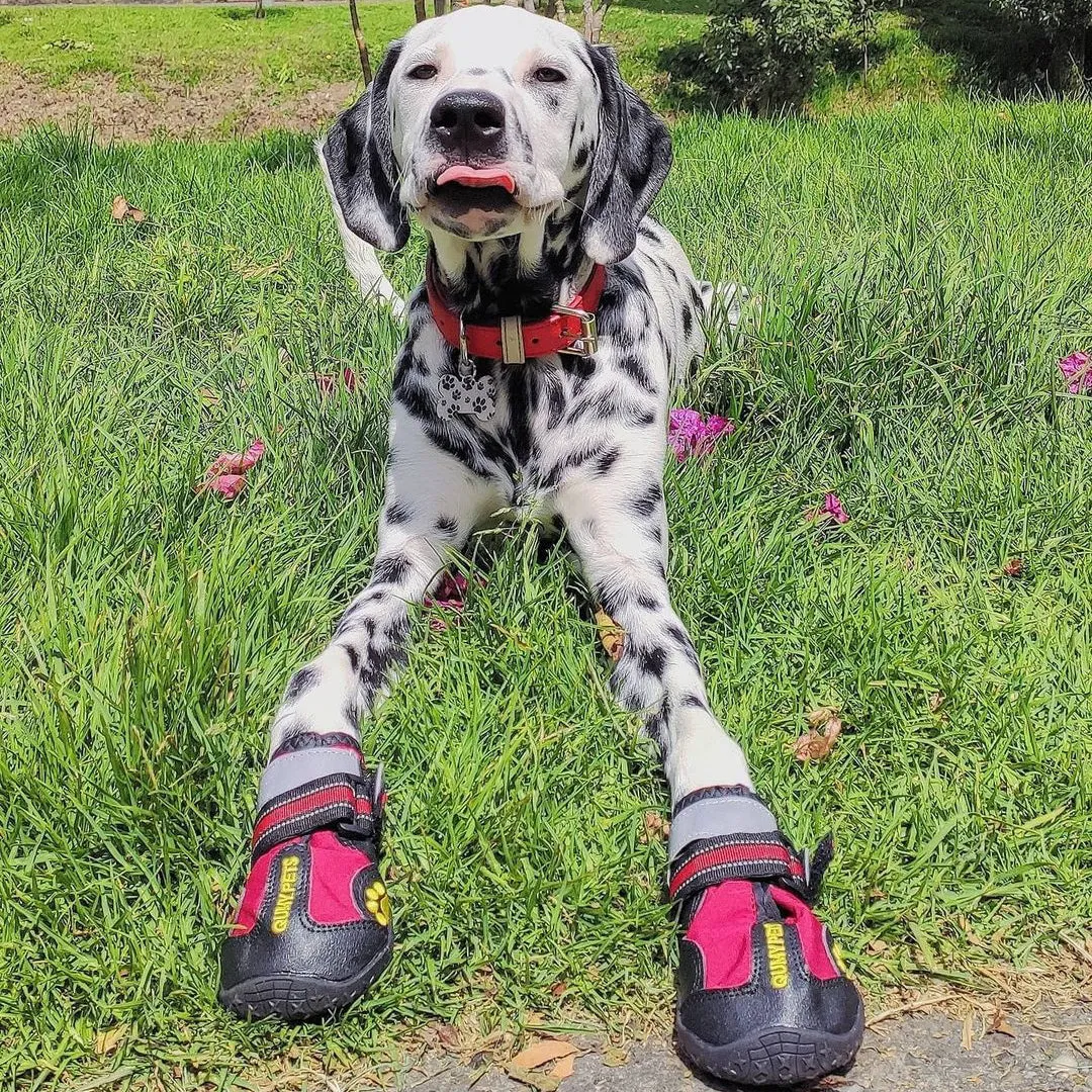 QUMY Dog Shoes for Medium Large Breed