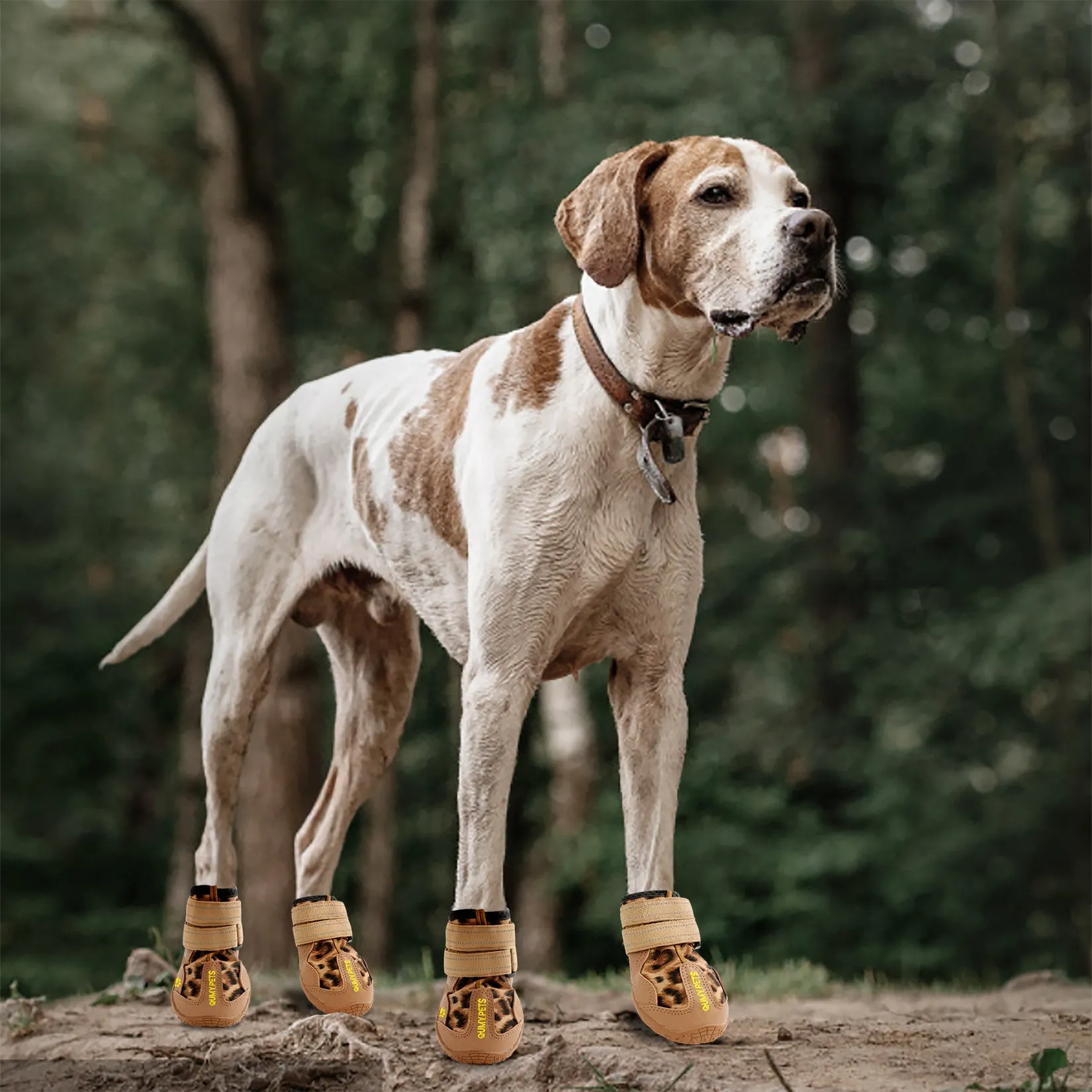 QUMY Dog Shoes for Medium Large Breed